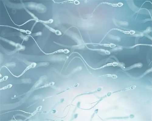 精子和卵子让别人代生,试管婴儿囊胚移植与普通的8细胞胚胎移植的不同特点